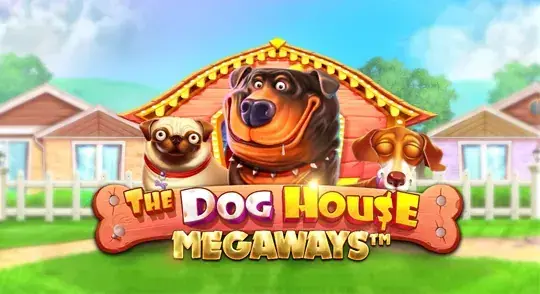 The Dog House Megaways von Pragmatic Play bei Mr Jones Casino